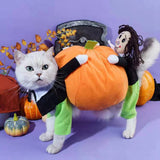 Funny Pet Cosplay Costume Small Medium Dog Leotard Coat Halloween Christmas Clothing Cat Pumpkin Transfiguring Dog Cute