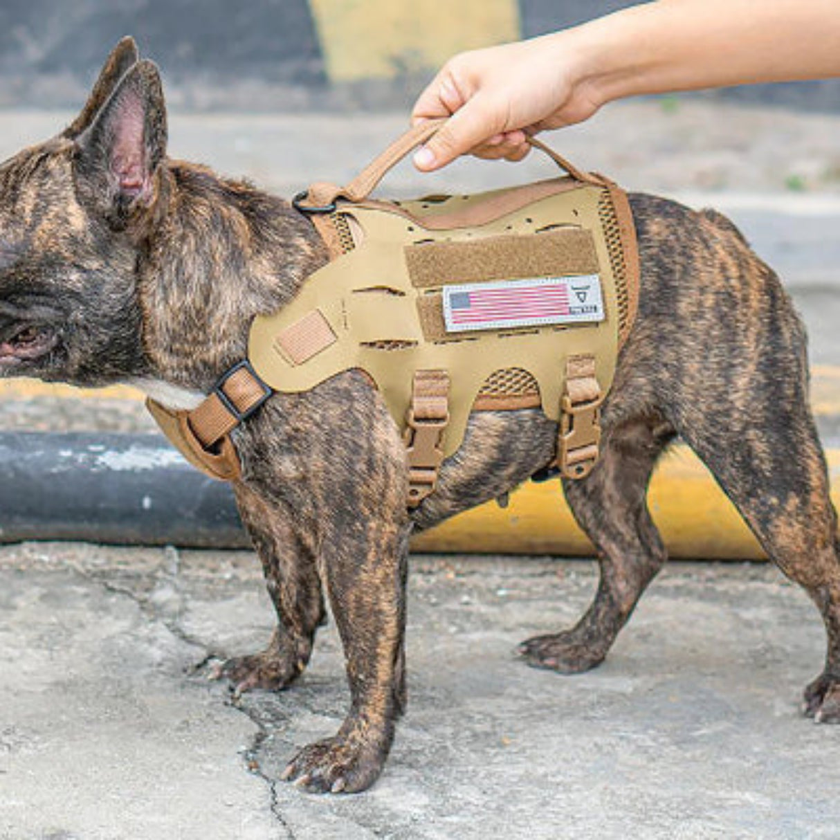 Chaleco táctico con arnés para perros con asa, arnés militar para perros grandes y medianos, chaleco antitirones para perros de servicio, chaleco ajustable para perros