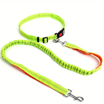 Correa para perros Manos libres Suministros Correa elástica de nailon para correr y caminar Accesorios para perros Correa retráctil para perros