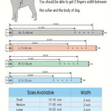 Spiked inlaid dog collar-fashion leather dog collar-2 inches wide suitable for medium and large dogs-Pitbull Mastiff Labrador Bo