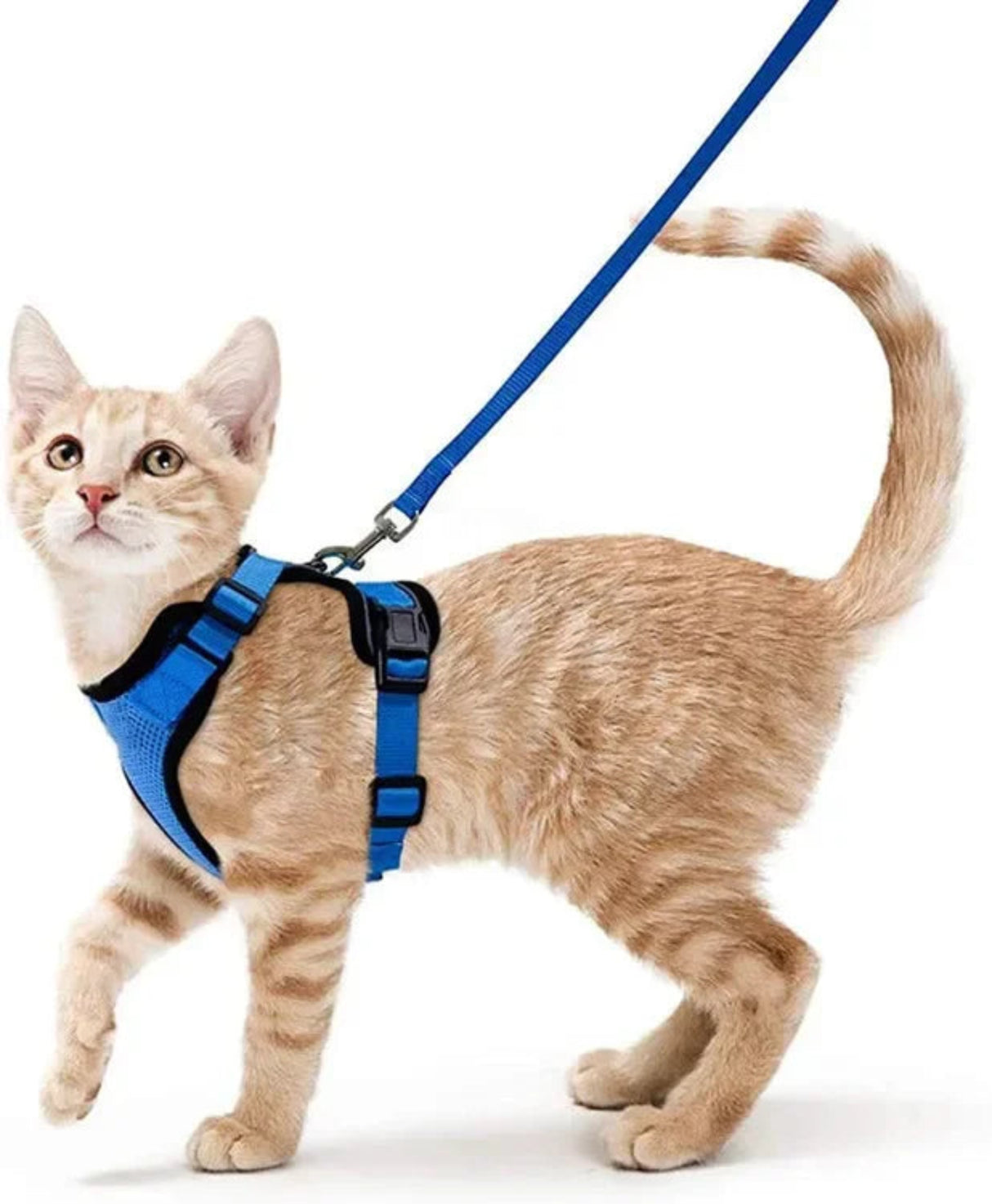 ATUBAN Cat Harness and Leash Set Stylish Escape Proof Cat Vest Harness Adjustable Breathable Pet Harness with Reflective Trim