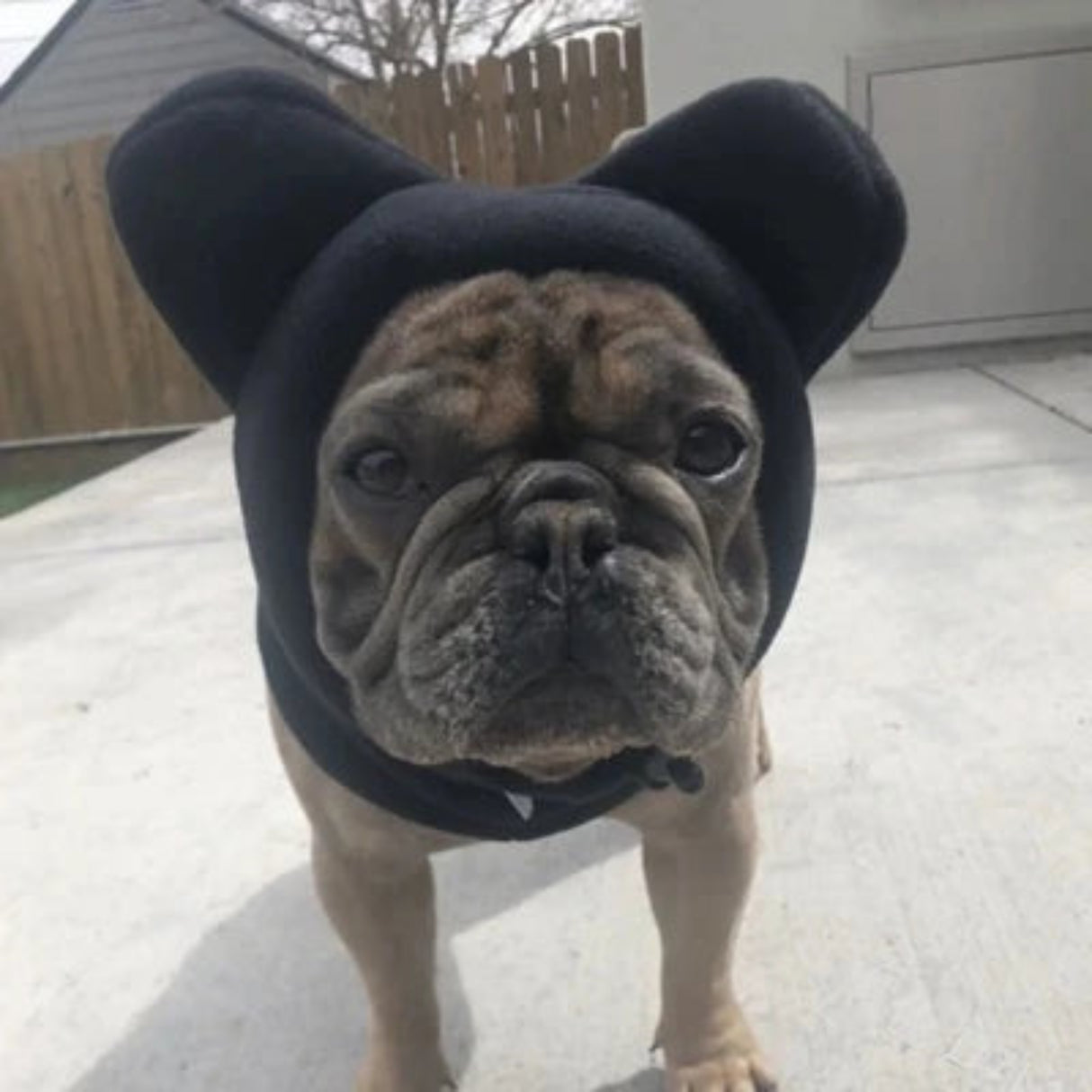 Gorro de invierno para perros, protección contra el ruido, cortavientos, grueso, con capucha para gatos, animales pequeños, perros medianos y grandes, mascotas, senderismo 