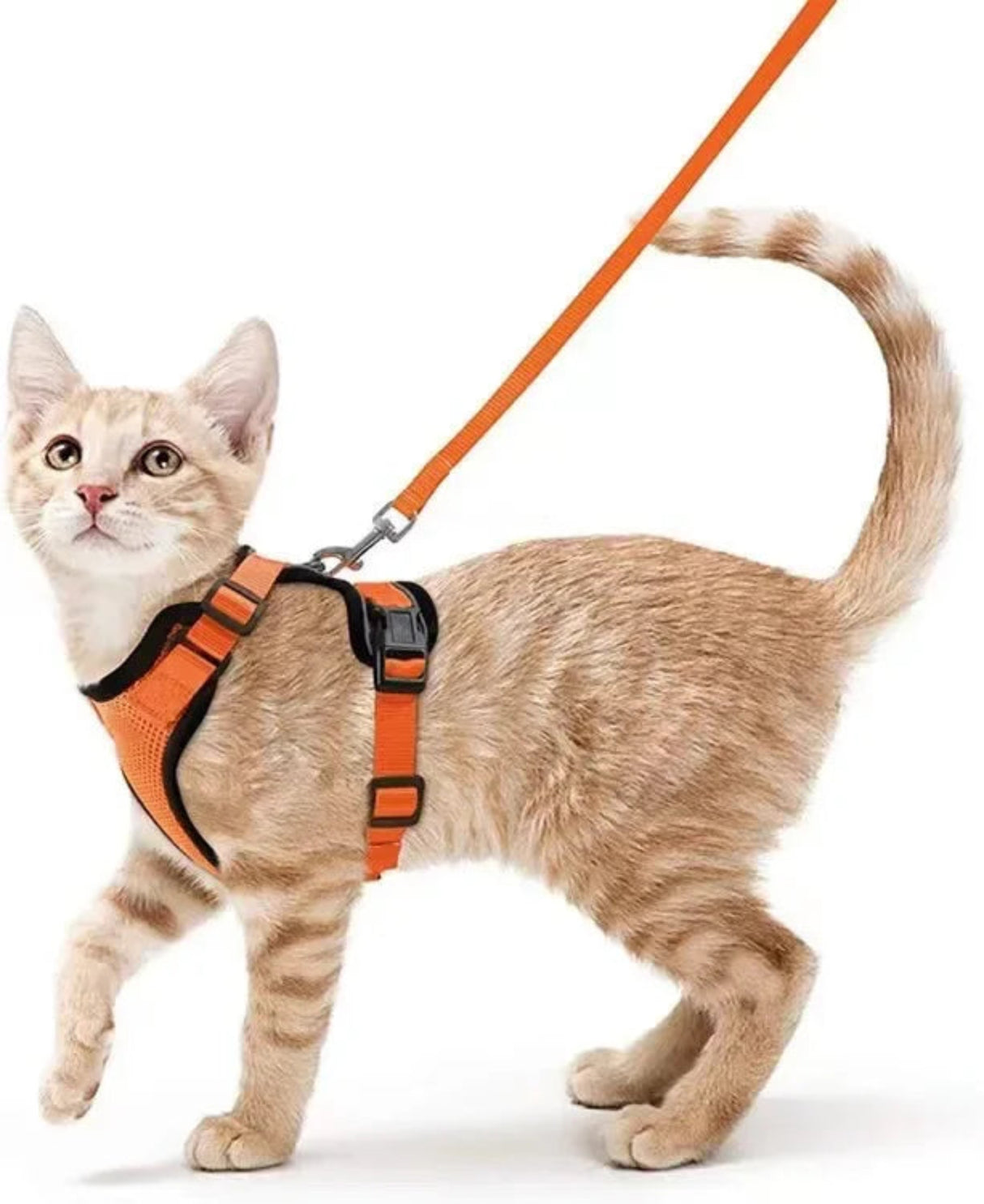 ATUBAN Cat Harness and Leash Set Stylish Escape Proof Cat Vest Harness Adjustable Breathable Pet Harness with Reflective Trim