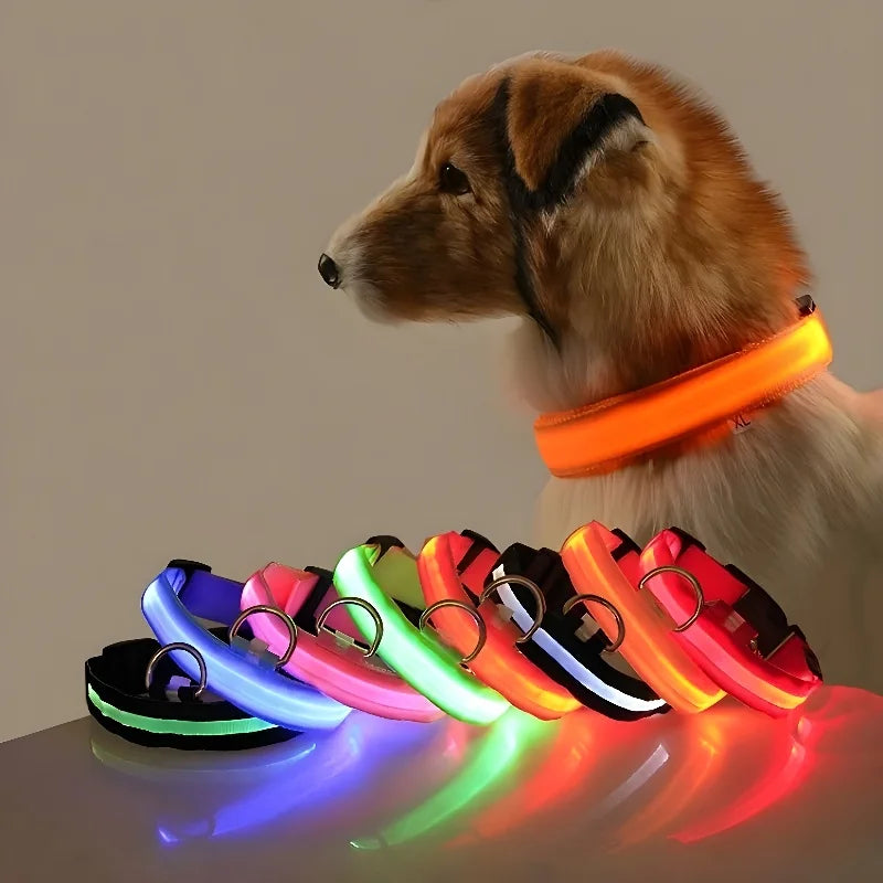 Collar para perro de nailon con luz LED de seguridad nocturna intermitente que brilla en la oscuridad Correa para perros Accesorios luminosos fluorescentes para perros