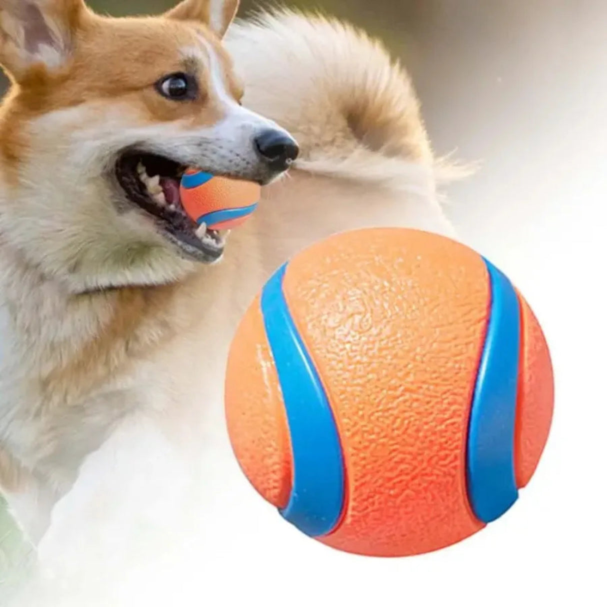 Dog Toy Ball Dog Fetch Ball Toy Tough Pet Ball Puppy Chew Toy Solid Elastic Jumping Ball Pet Accessories For Large Medium Small