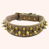 CP037-1--Vintage brass rivet heavy-duty adjustable pet dog collar, round head rivet paired with wear-resistant PU leather.