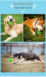 OUZEY Pet Dog Toy Ball Squeaker Bite Resistant Dog Chew Toy Interactive Puppy Training Toys Dewable Food Dog Supplies