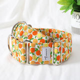 Italian Greyhound Whippet Martingale wide adjustable dog collar patterned cotton collar