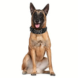 Spiked inlaid dog collar-fashion leather dog collar-2 inches wide suitable for medium and large dogs-Pitbull Mastiff Labrador Bo