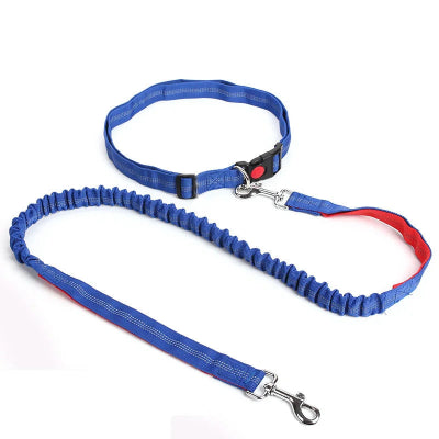 Correa para perros Manos libres Suministros Correa elástica de nailon para correr y caminar Accesorios para perros Correa retráctil para perros