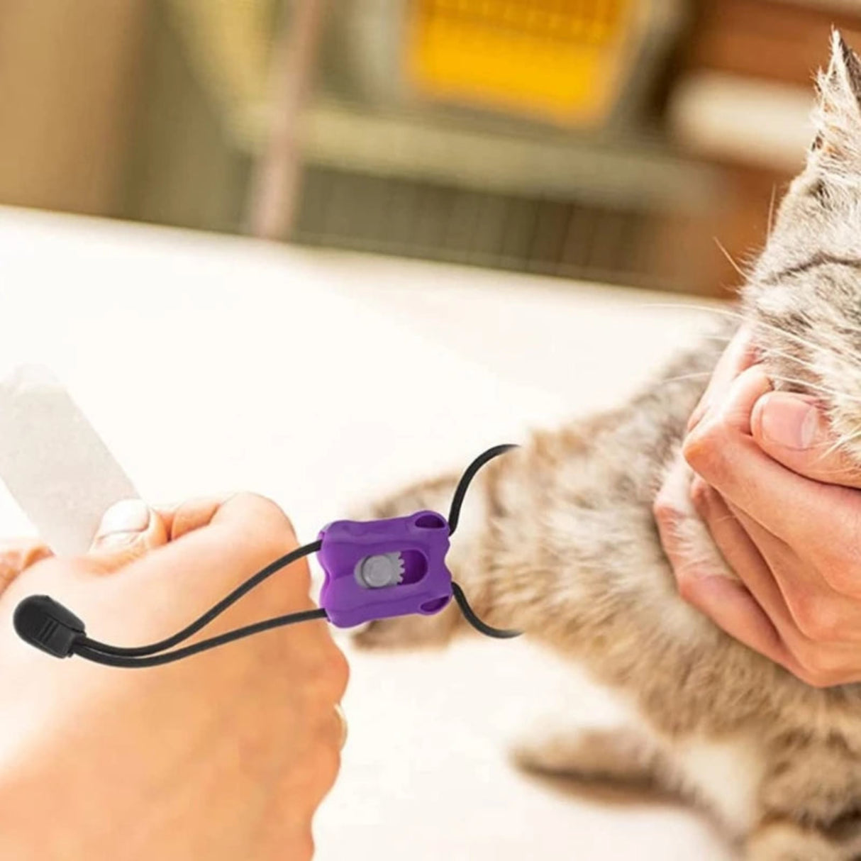 5 piezas de torniquete para mascotas, torniquete profesional para animales, vendaje de trauma de emergencia, liberación rápida, primeros auxilios para perros, caninos y gatos