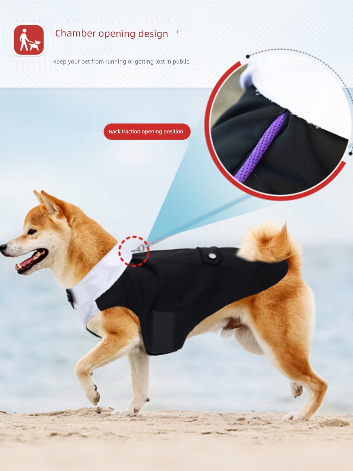 Traje de lazo para perros pequeños y medianos Golden Retriever Vestido formal para perros