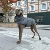 Chaleco de invierno para mascotas, chaqueta cálida para perros, ropa resistente al viento, abrigo para mascotas 