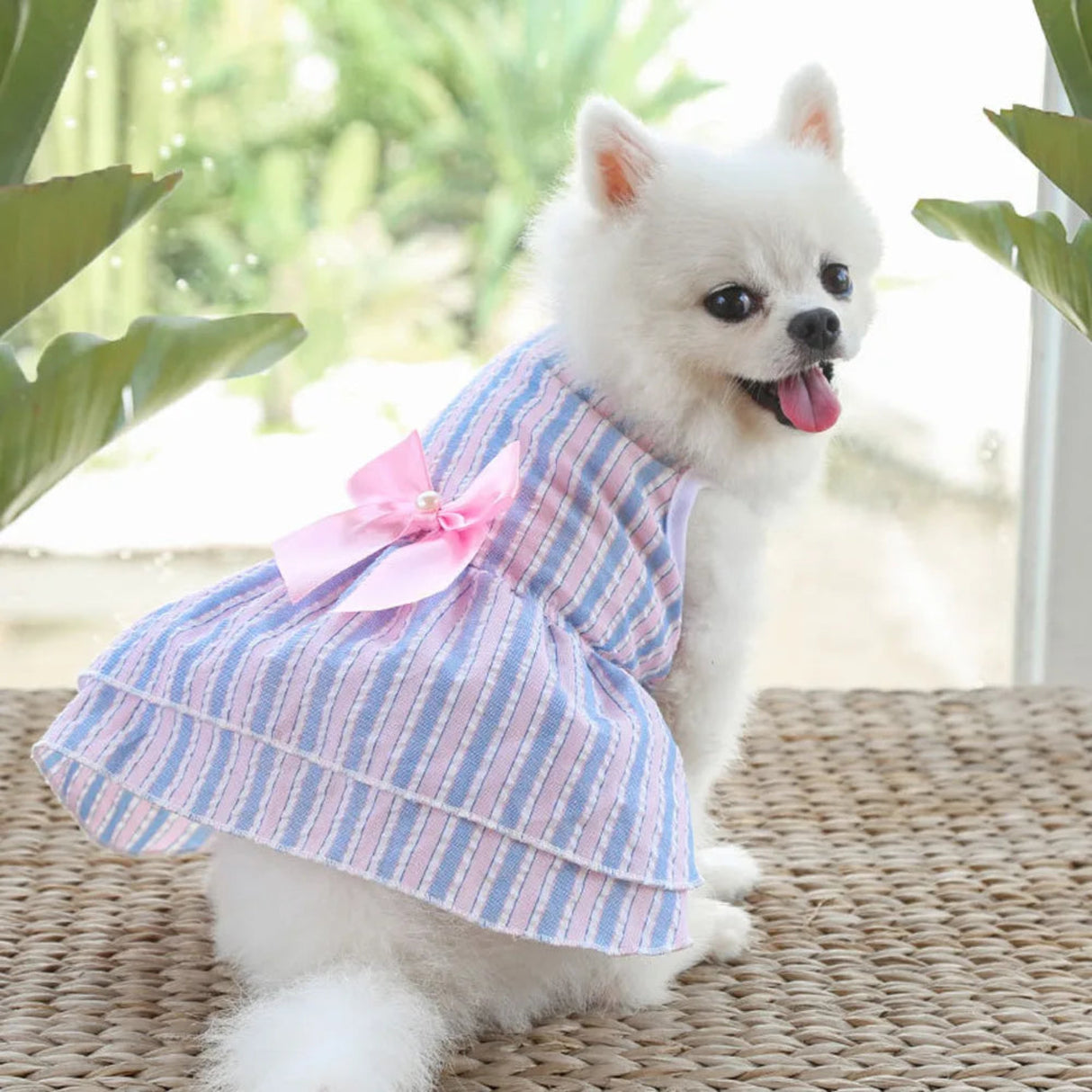 Pet Dog Clothes Puppy Vest T-shirt Shirt Cute Spring Pet Skirt Dress Roupas para cães Bottoming Shirt Dog Costume Puppy Clothes