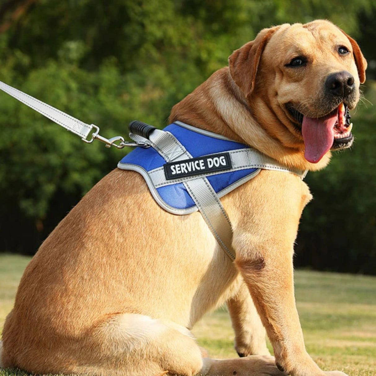 Kimpets Dog Harness Vest Labrador Retriever Chest Clothes Rope Medium Big Dog Reflective Adjustable Outdoor Walking Pet Supplies