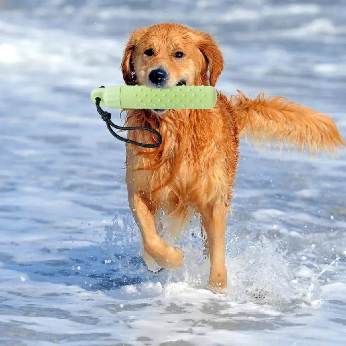 Juguete de entrenamiento con flotador para perros, parachoques, muñeco de recuperación, juego de agua para piscina y playa, juguetes interactivos para perros pequeños, medianos y grandes