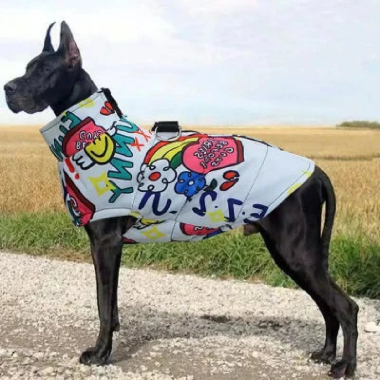 Chaqueta impermeable de moda para perros grandes, abrigo para mascotas de otoño e invierno con hebilla de tracción, chaquetas para exteriores para dóberman, pinscher y golden retriever