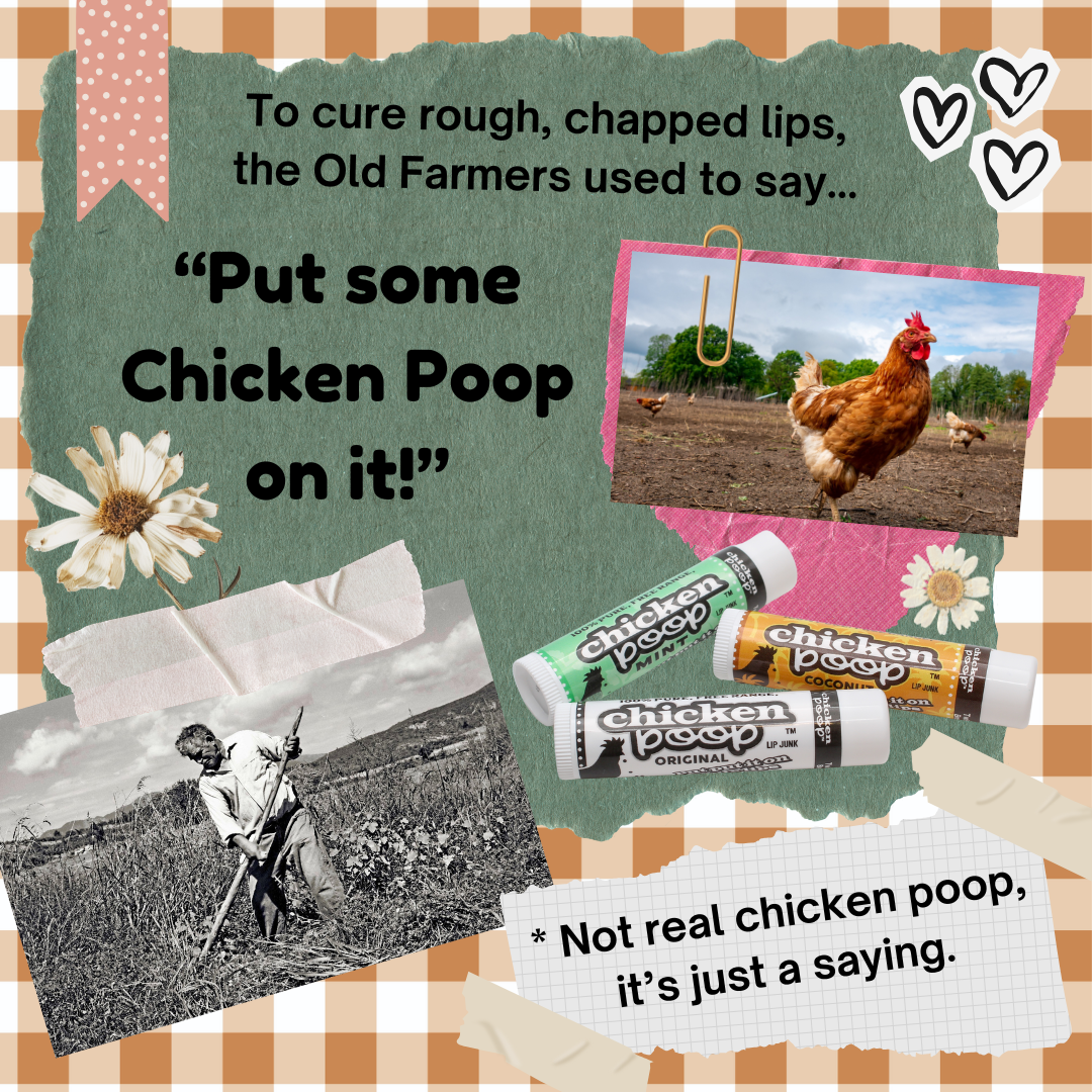 Chicken Poop® SPF 35 SUNSCREEN Lip Balm, 24ct CHICKEN