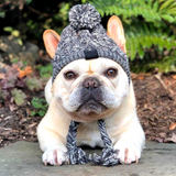 Winter Warm Dog Hats Windproof Knitting French Bulldog Hat For Dogs Chihuahua Hat Fluffy Ball Pet Hat Puppy Accessories