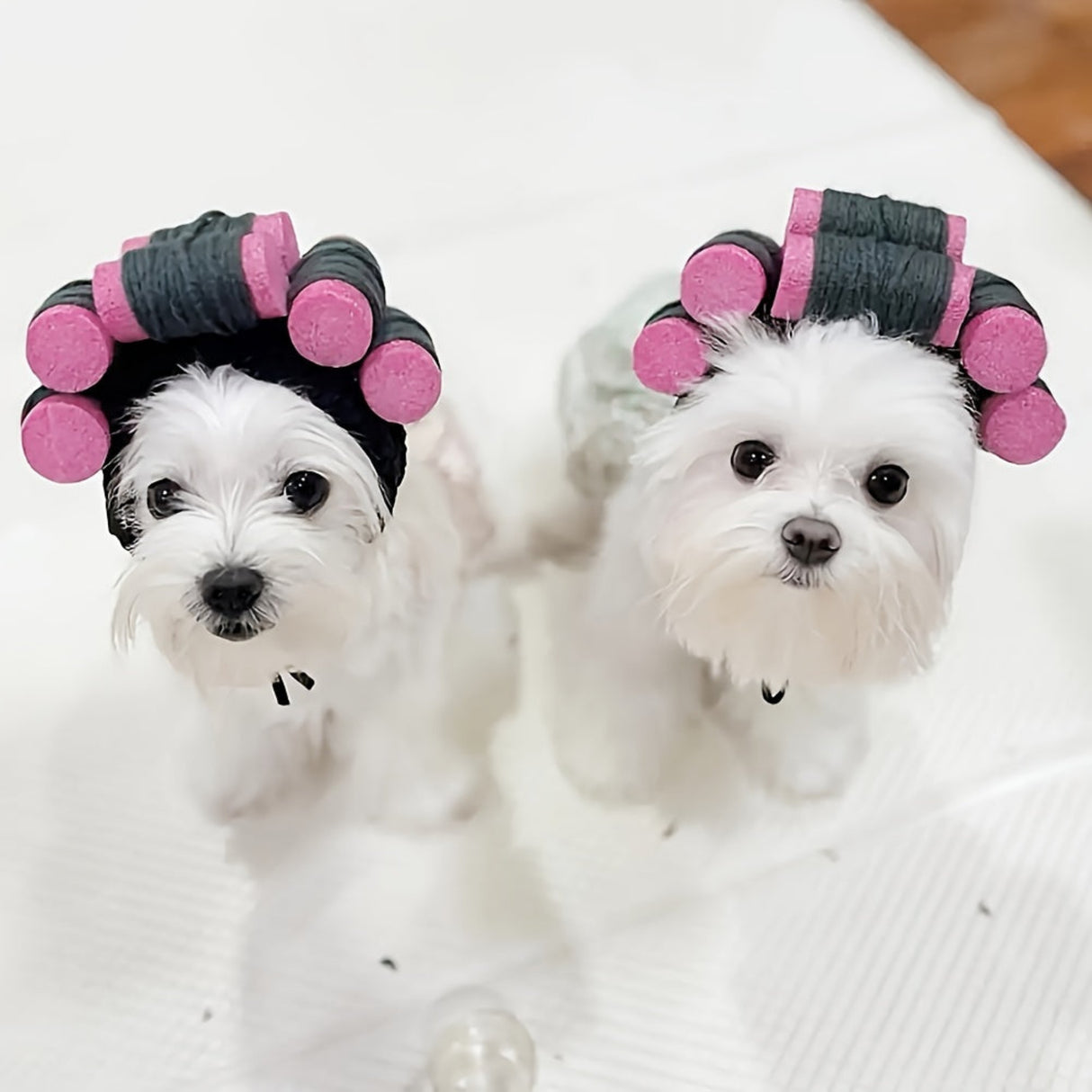 [Adjustable Cartoon Party Hat] Whimsical Cartoon Pet Party Hat - Soft, Lightweight, Adjustable Headgear for Cats & Dogs with Magic Tape Closure and Comfortable Wear