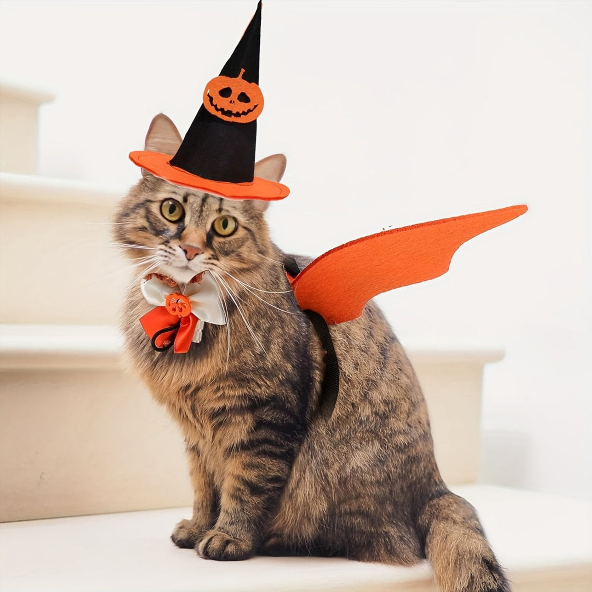 3pcs Pet Festival Decoration Include Bat Wings Pumpkin Cap Tie, Fashionable Props Decorative, Pet Photography Props, for Party Packs