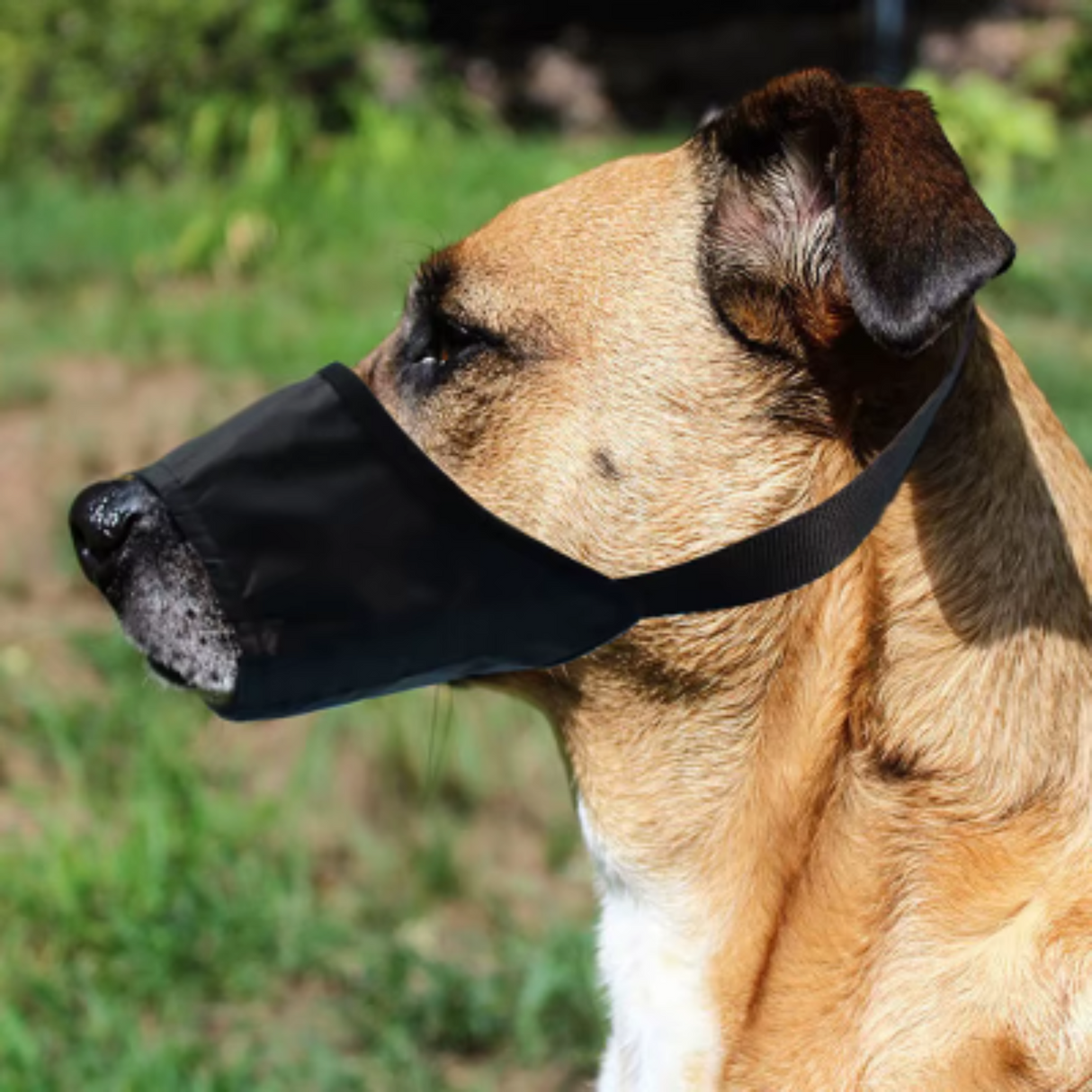 S-XXL Dog Muzzle Soft Covered Muzzle For Small Medium Large Dogs Prevent Biting Chewing Protection Muzzle With Adjustable Strap