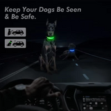 Collar antipérdida para perros de noche, luz LED de carga USB, collar con luz ajustable, luz nocturna de seguridad suave, intermitente, suministros para mascotas