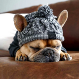 Gorros de invierno cálidos para perros, resistentes al viento, tejidos, para bulldog francés, para chihuahua, con bola esponjosa, accesorios para cachorros 