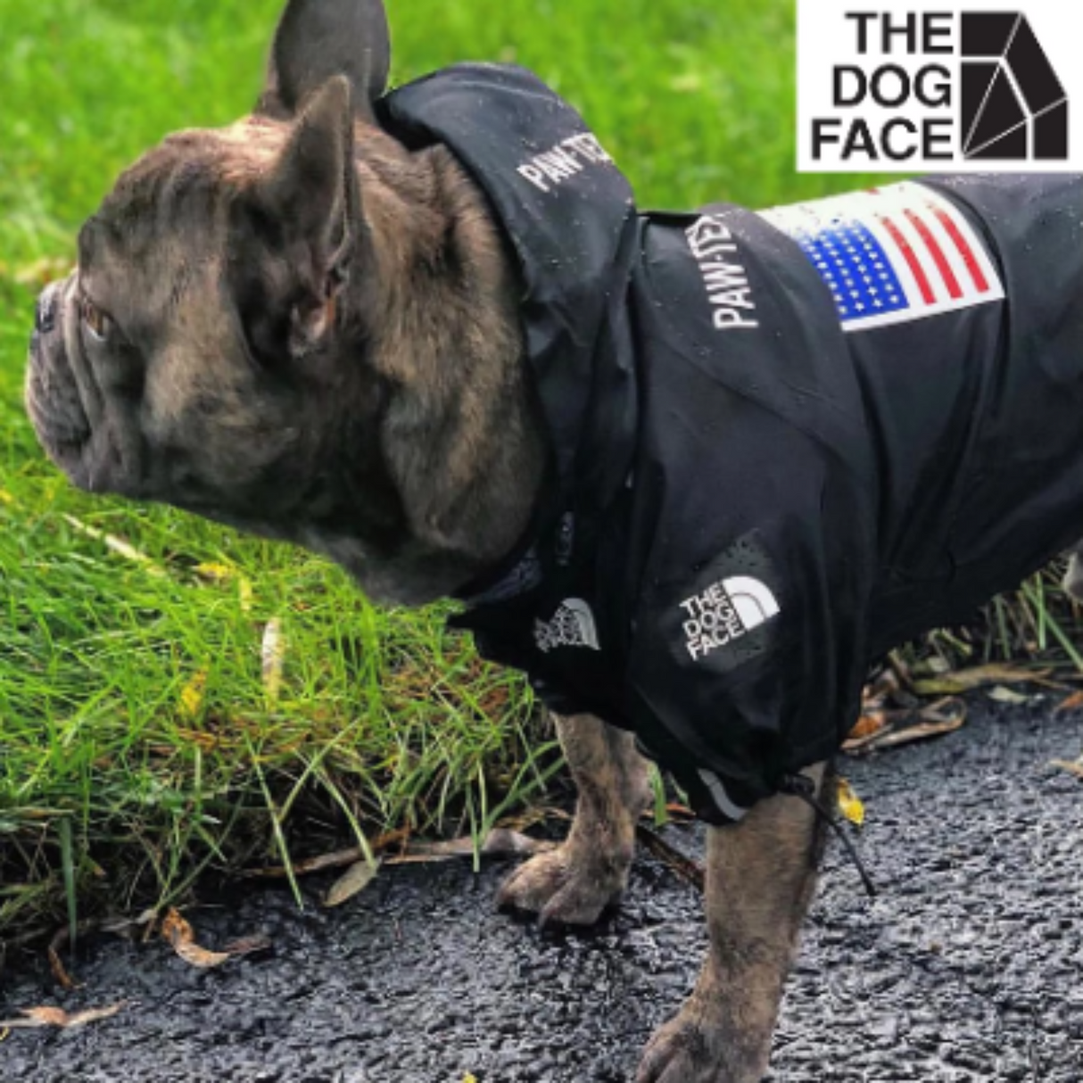 Ropa impermeable para perros The Dog Face, chaqueta impermeable de poliéster negra con letras para cachorros, perros lindos, ropa para mascotas Bulldog francés