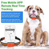 Rastreador GPS inteligente 4G para gatos y mascotas, sensor G 3D, resistente al agua, antipérdida, collar rastreador en tiempo real, localizador GPS de larga duración, accesorios para perros 