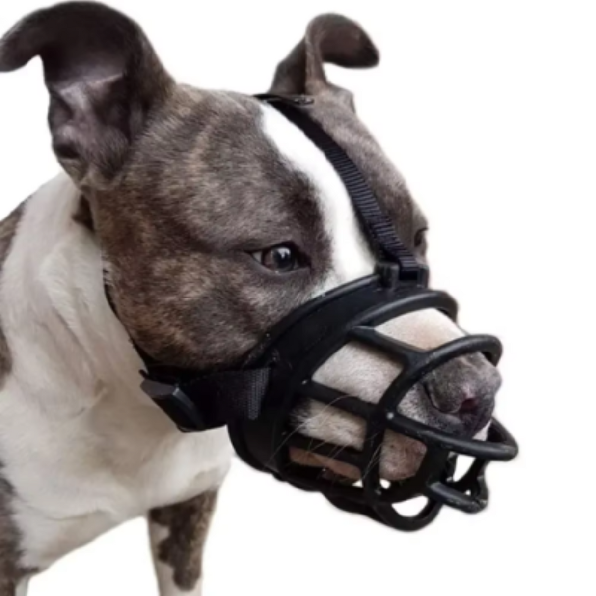 Soft Silicone Pet Dog Muzzle Breathable Basket Muzzles Comfy for Small Medium Large and X-Large Dogs Stop Biting Barking Chewing