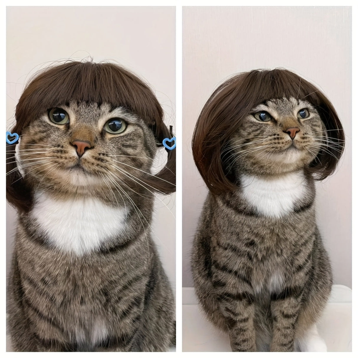 Funny Dog Cat Wig For Small Medium Large Dogs With Free Head Flower, Trimmable Pet Costume Cat Cosplay Decoration For Halloween, Christmas, Parties