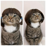 Funny Dog Cat Wig For Small Medium Large Dogs With Free Head Flower, Trimmable Pet Costume Cat Cosplay Decoration For Halloween, Christmas, Parties