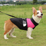 Ropa impermeable y cálida para perros, abrigo para mascotas, chaleco de invierno, chaqueta acolchada con cremallera, ropa para perros pequeños, medianos y grandes, atuendo The Dog Face