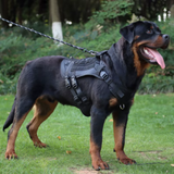 Arnés militar para perros grandes, chaleco de entrenamiento para pastor alemán, arnés táctico para perros y correa, accesorios para perros