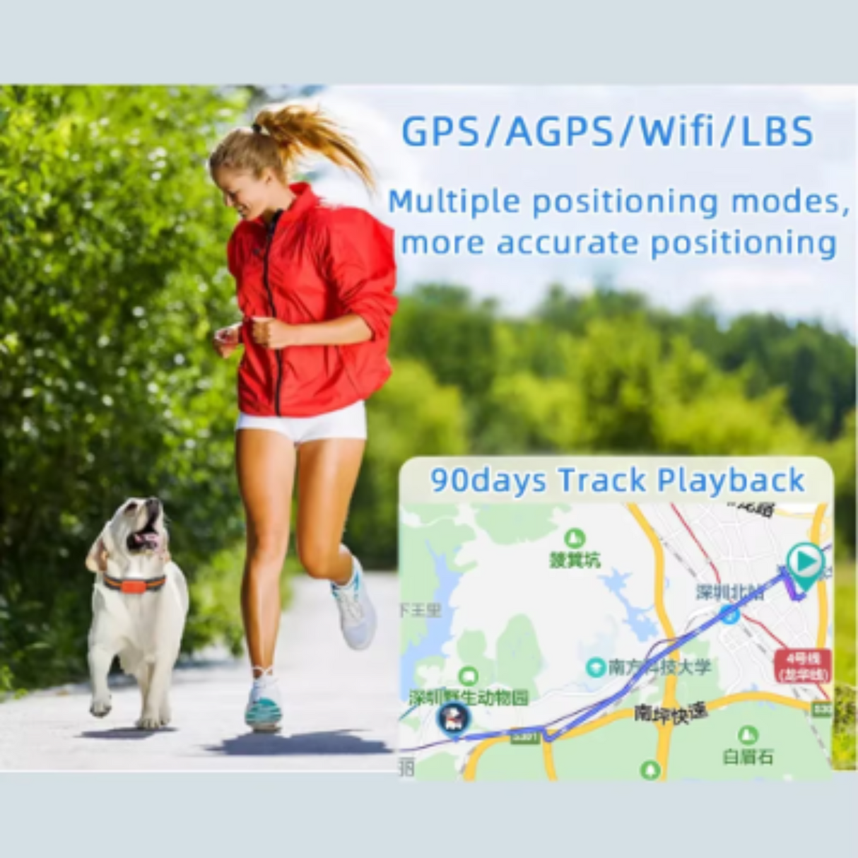 Rastreador GPS inteligente 4G para gatos y mascotas, sensor G 3D, resistente al agua, antipérdida, collar rastreador en tiempo real, localizador GPS de larga duración, accesorios para perros 